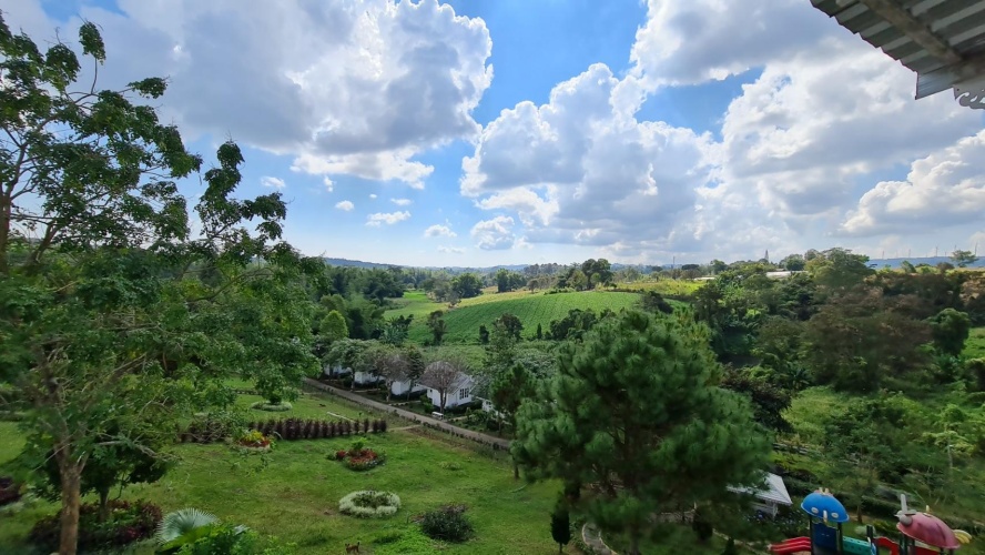 Standard room with garden view