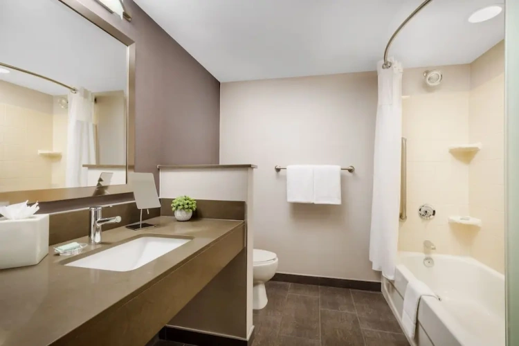 1 Bedroom Executive Suite