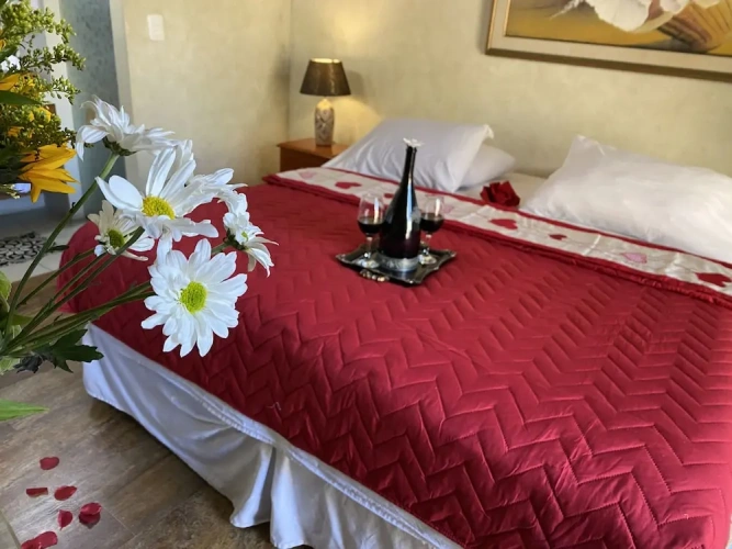 1 Bedroom Junior Suite with balcony and with view