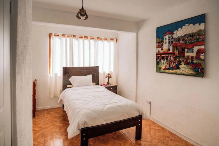 Classic Single room with garden view