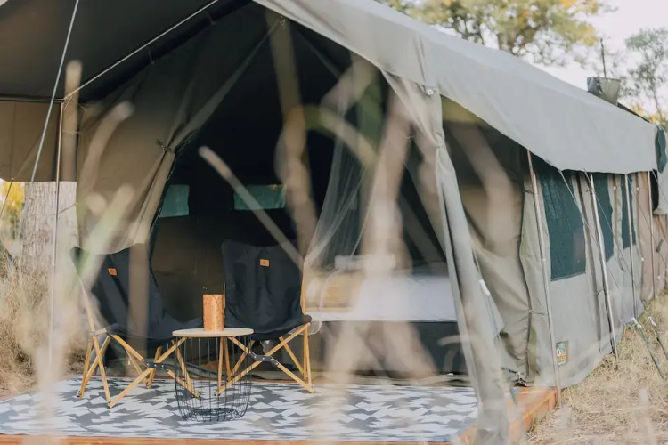 Kruger Untamed - Satara Plains Camp