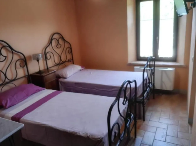 Standard Double room with garden view