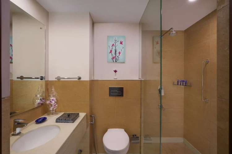 Premium Single room