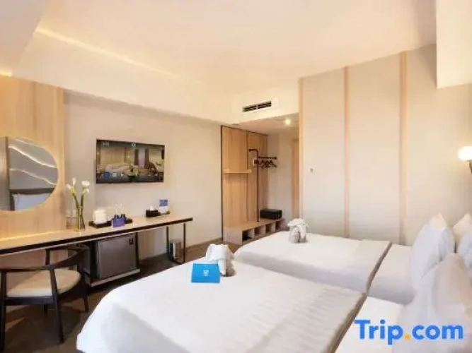 Superior Single room