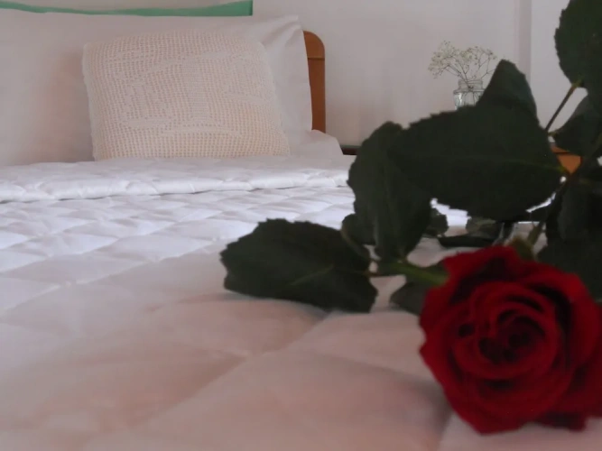Deluxe Double room with balcony and with sea view
