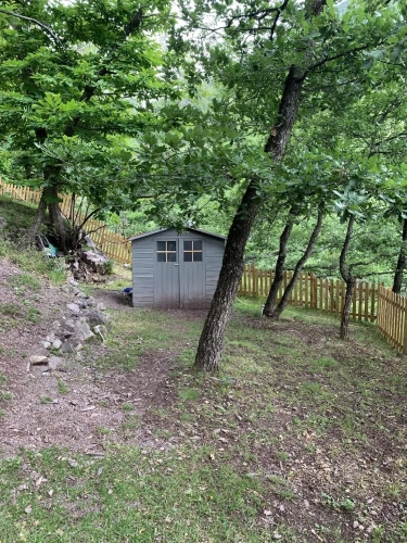 Standard room with mountain view
