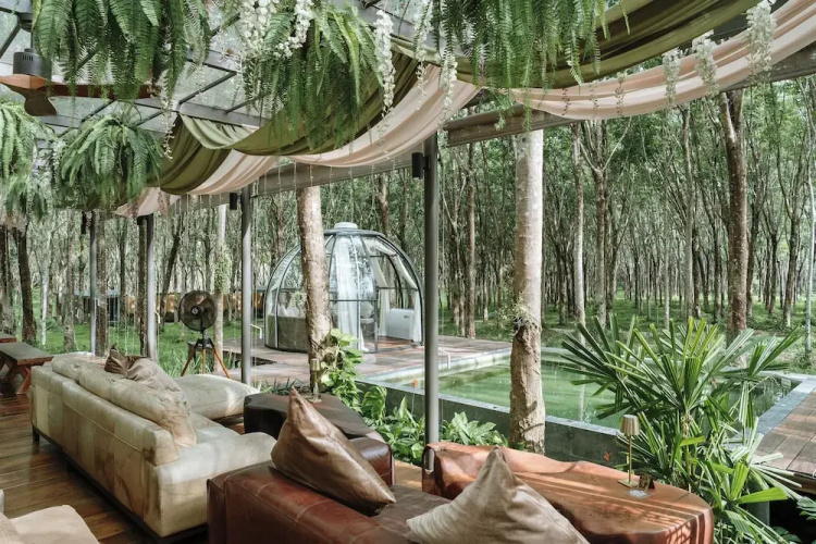 Timber Society Boutique Hideaway