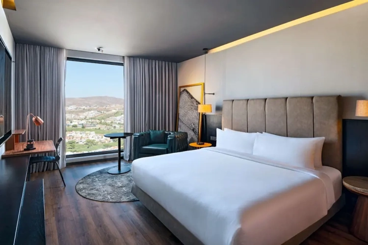 Standard Double room with city view