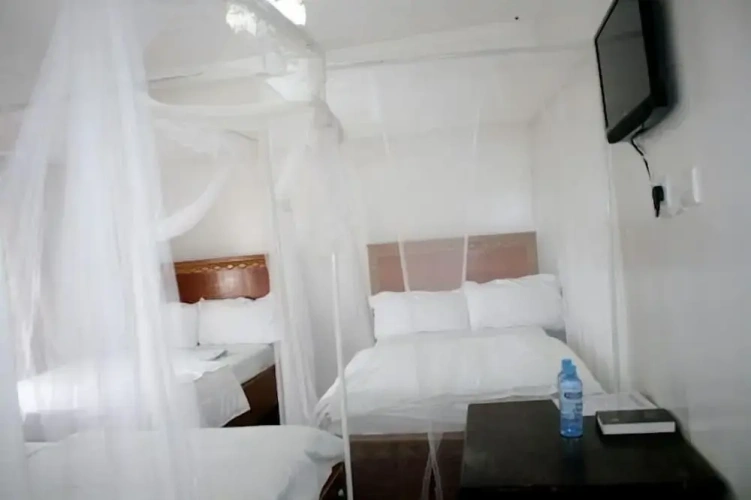 Standard Twin room with city view