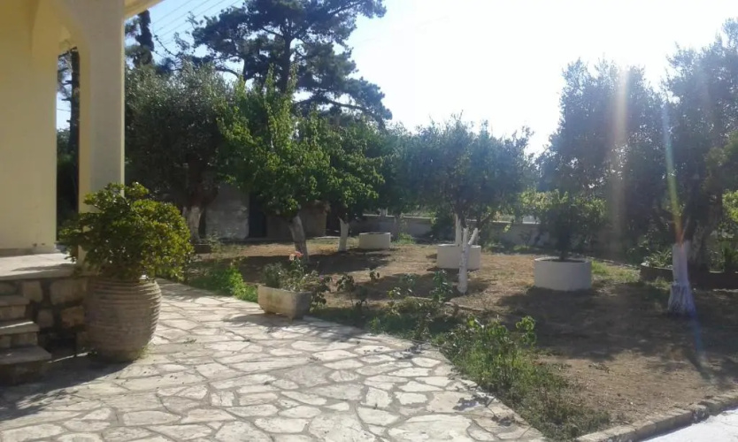 Lemon Garden