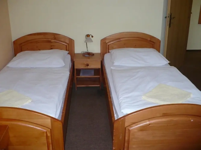 Standard Twin room with mountain view