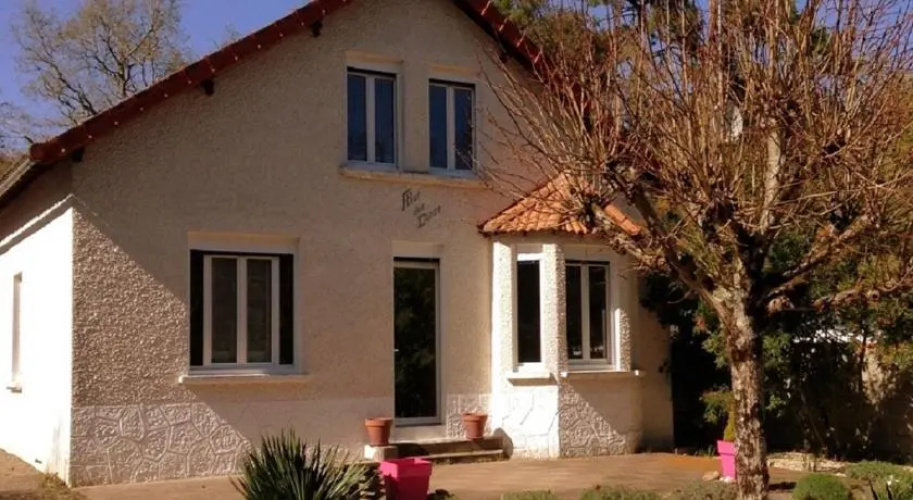 Fleur des Dunes