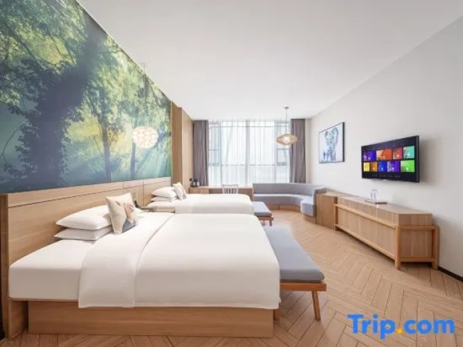 Executive Twin room
