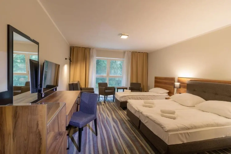 Standard Double room with pool view