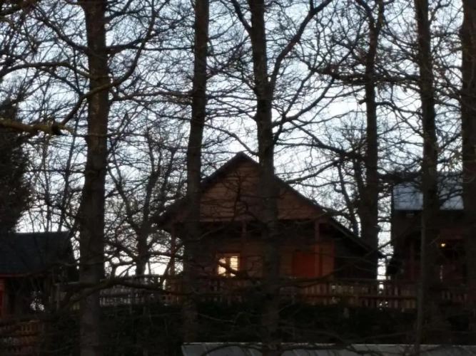 Superior Bungalow
