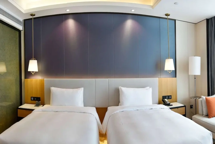 Deluxe Twin room with city view