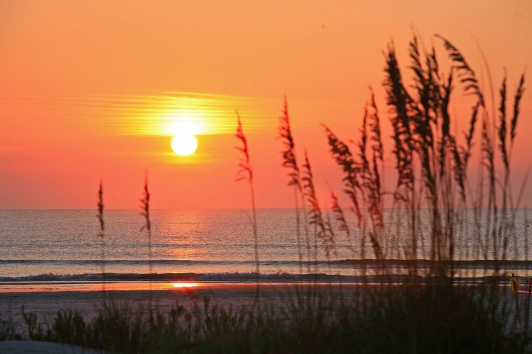 Guy Harvey Outpost Resort On St. Augustine Beach photo 26