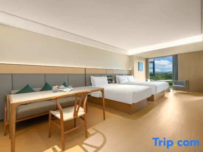 Twin Suite