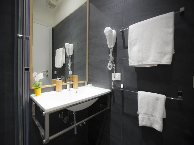 Deluxe Single room