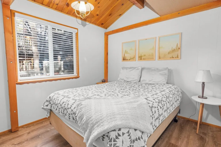 Dark Pine Retreat