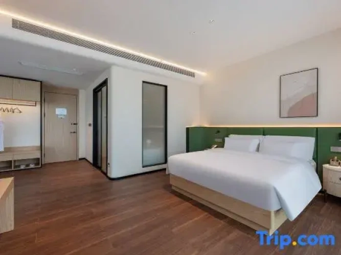 Deluxe Double Suite with city view