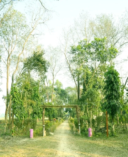 Standard Twin room with garden view