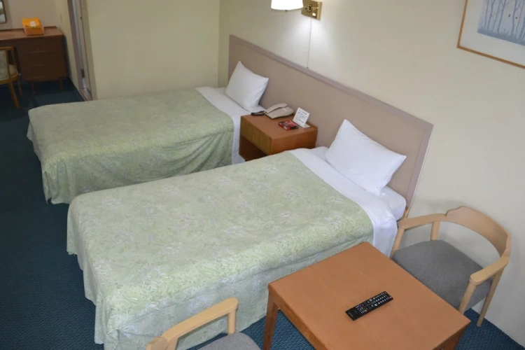 Economy Twin room