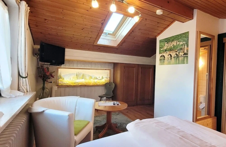 Classic Single room