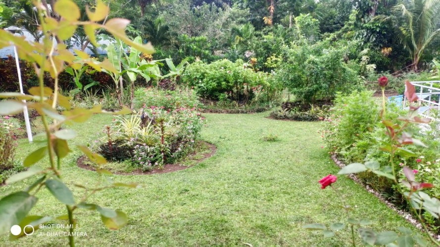 Sun House Rental