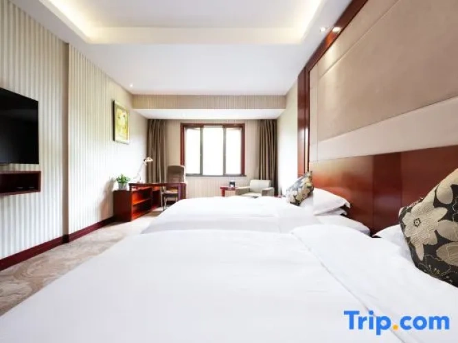 Executive Twin room