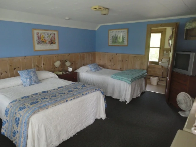 1 Bedroom Family Studio
