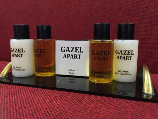 市中心哈瑟尔套房酒店外景图