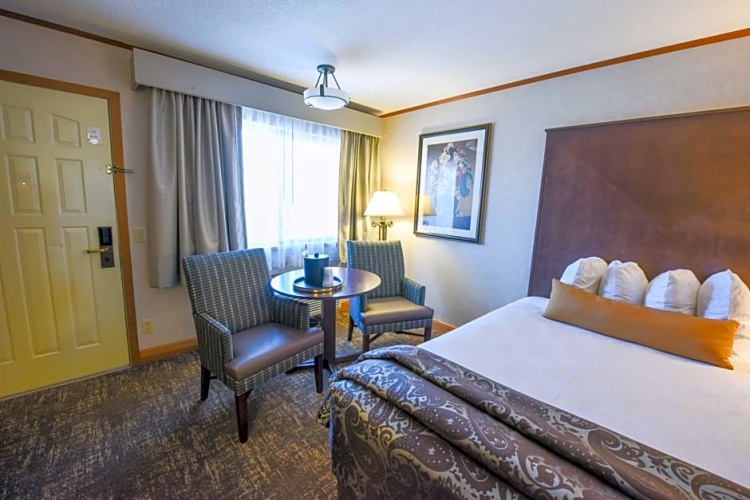 Standard Double room with pool view