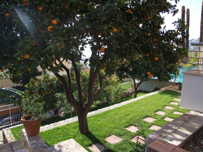 Outside