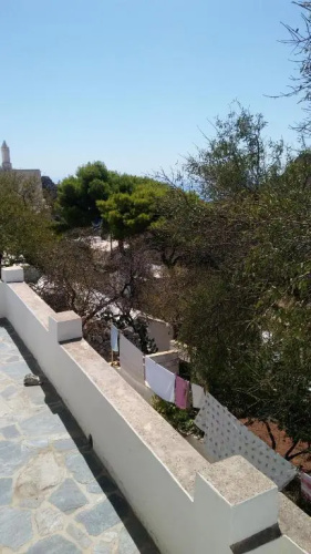 The large bougainvillea house