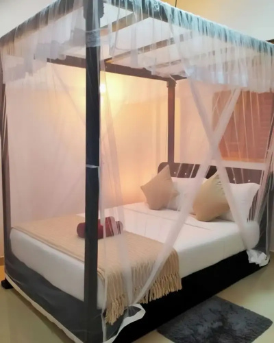 Yala Eagle Nest