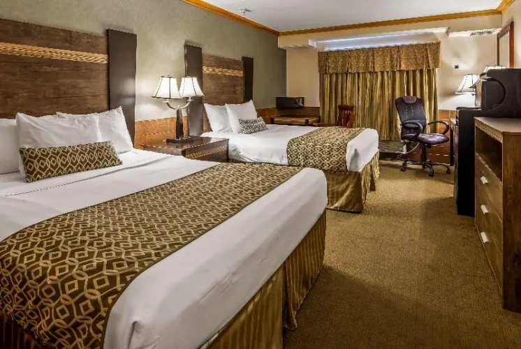 Quadruple Suite