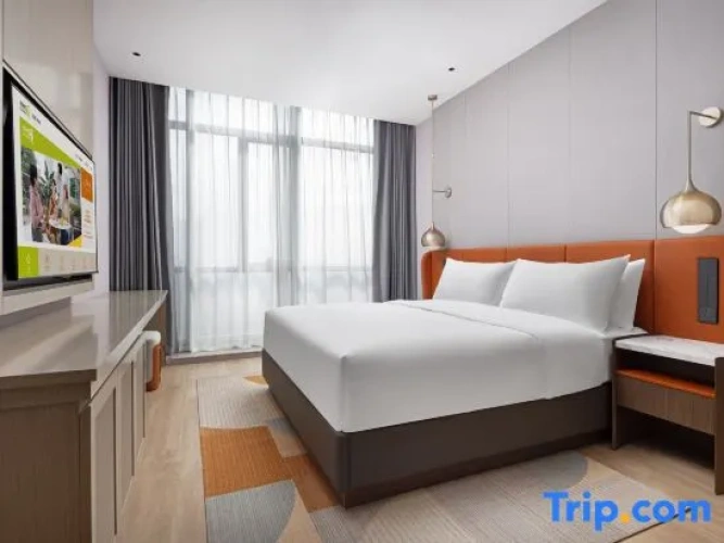 1 Bedroom Deluxe Quadruple Suite