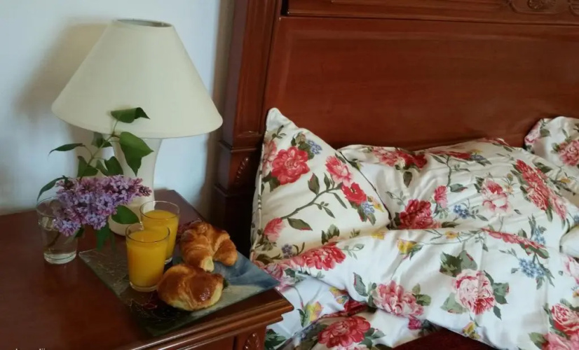 Apartment Kamelija