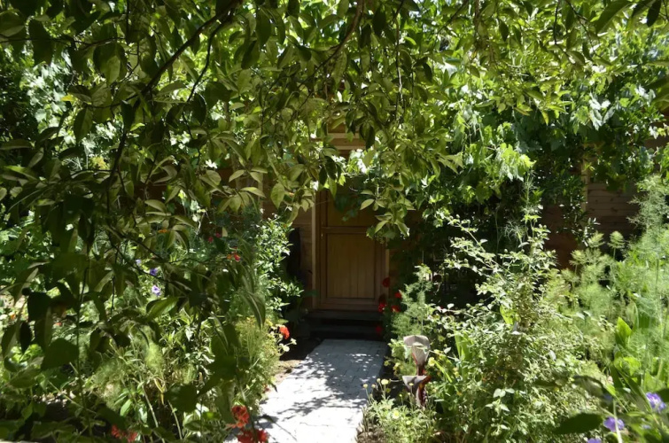 Olympos Mercan Bungalow