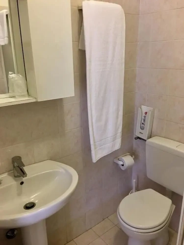 Standard Double room with garden view