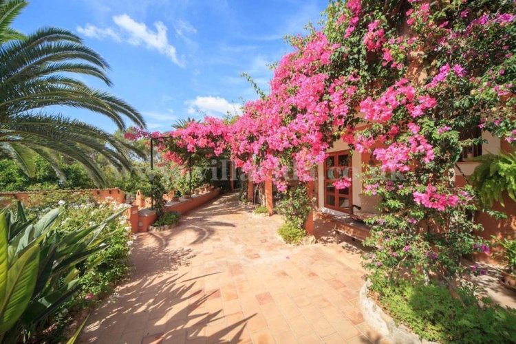 Deluxe Villa