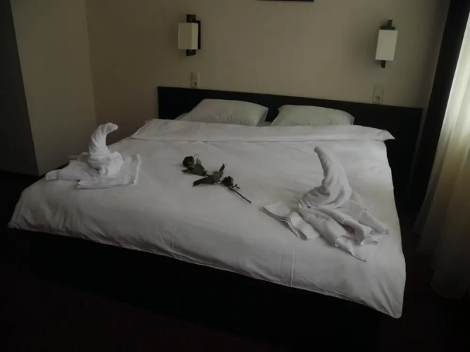Hotel 12