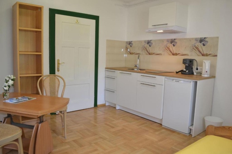 1 Bedroom Apartment with balcony and with view