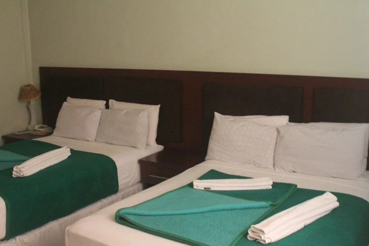 Standard Twin room with garden view