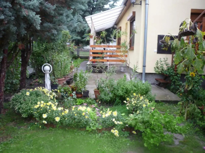 Judit's Guest House