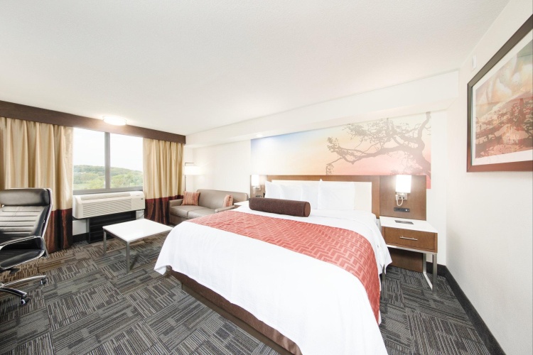 Standard Double room
