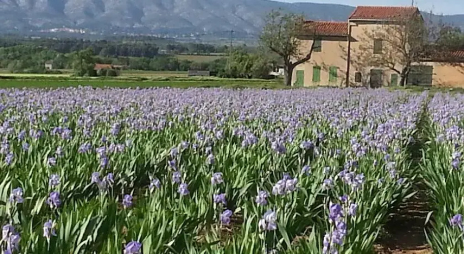 Villa proche d'Aix-en-Provence