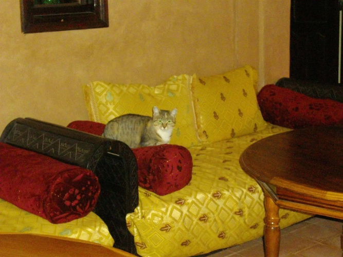 Kasbah Zitoune