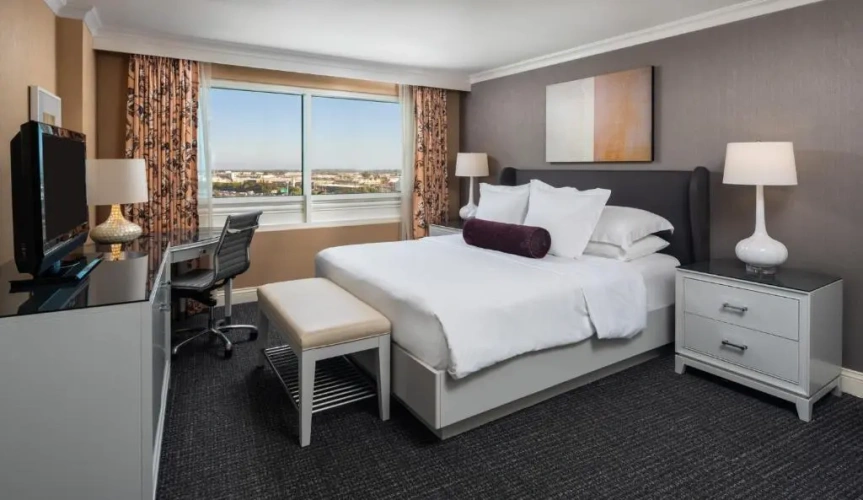 2 Rooms Double Commerce Suite